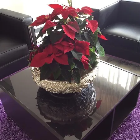 Ariston & מלון 3*